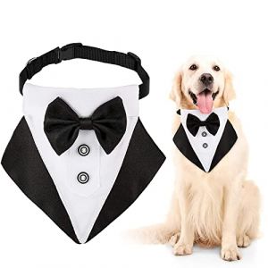 Guanyj Bandana Formel de Smoking pour Chien - Collier de Mariage avec Nœud Papillon Et Cravate - Anneau en D pour Chiens de Grande Taille Et Surdimensionnés (Noir) (Guanyj, neuf)