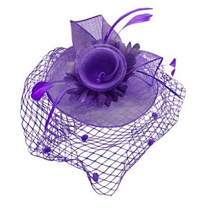 LZPCarra Tea Mariage Plumes Femmes Clip Mesh Bandeau Accessoire Chapeau Marron (Violet, Taille Unique) (One like, neuf)