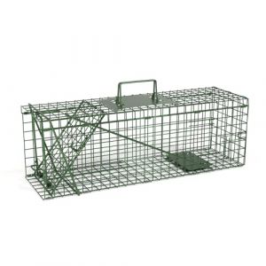 QianRuiDa Piège Vivant Piège de Capture 61 x 19 x 20 cm Piege Rat Cage Trappe Chat Piège Fouine Piège Chat - Vert (QianRuidDa, neuf)