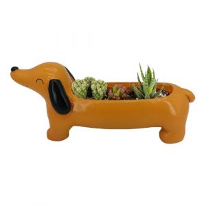 Teckel Cadeaux pour Femmes Pot de Fleurs d&eacute;coratif Pot de Fleurs Mignons pour l'ext&eacute;rieur Jardin D&eacute;coration de No&euml;l ou Cadeaux d'anniversaire, 21 x 10 x 6,5 cm (vusintalu, neuf)