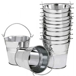 LATERN 12 Pièces Mini Pots de Fleurs Suspendus en Métal, 6cm Pots de Fleurs Seau à Fleurs Suspendu avec Poignée Amovible pour Balcon Clôture Jardin Décoration D'intérieur (Argent) (QINGJIN-EU, neuf)