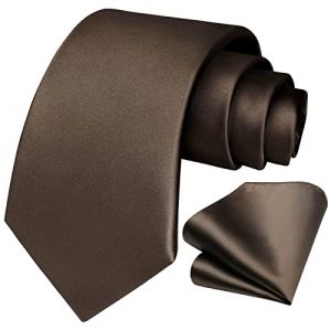 HISDERN Cravate Homme Marron Cravate et Mouchoir de poche Set - Travail Fête Mariage Cravates Soie avec Boîte Couleur Unie Cadeau pour hommes Saint Valentin,Marron (hisdern, neuf)