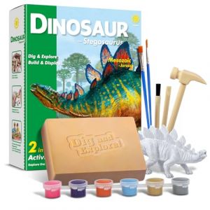 EGGBOX Kit de fouille de Squelette de Dinosaure pour Enfants, Set 2-en-1 de fouille et de Peinture de St&eacute;gosaure, Jouet de Dinosaure pour Enfants 6 Ans, exp&eacute;riences de pal&eacute;ontologie et de fossiles (Dr. Daz, neuf)