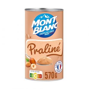 MONT BLANC – Crème Dessert Gourmande Praliné, Texture Onctueuse et Fondante (Boîte 570g) - Le lot de 4 (Marché Parisien, neuf)