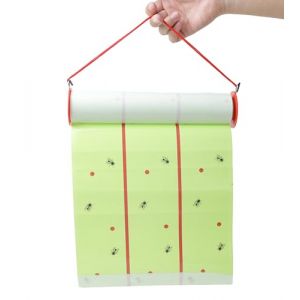 EXTERMION &ndash; Pi&egrave;ge &agrave; mouches collant XXL 10 M &ndash; Anti mouche, thrips & moucherons &ndash; Attrape mouches &eacute;cologique et sans produit chimique &ndash; Usage int&eacute;rieur/ext&eacute;rieur pour maison, jardin, serre et terrasse (EXTERMION, neuf)