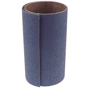 Bande abrasive pour pommes de terre Pèle-pomme Largeur 300 mm longueur 1210 mm PSM10 (Gastroteileshop, neuf)
