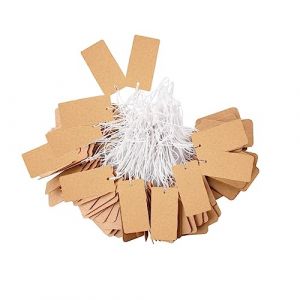 SJBAUTYO 200 Pièces Etiquette Prix,Étiquettes en Papier Kraft,Tags d'Affichage Inscriptible Étiquettes de Prix Vierges avec Ficelle Suspendue,pour Affichage de Bijoux de Vêtements (VLAD SHOP ADV, neuf)