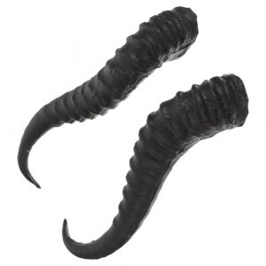 TEHAUX Cornes en Plastique R&eacute;alistes pour Serrage-T&ecirc;te DIY 1 Paire de Cornes de Mouton Noires Accessoires de Cheveux pour Cosplay et &Eacute;v&eacute;nements Festifs (Breamblue N, neuf)