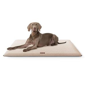 Knuffelwuff Tapis pour Chien Douillet Calliope en Peluche 120x80 Beige (Knuffelwuff, neuf)