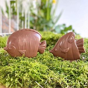 lot de 2 Moulage chocolat de Paques POISSON EXOTIQUE 50 g - chocolat de Pâques - Fabrication artisanale en France - chocolat lapin poule cloche poussin oeuf (Poisson exotique dos rond chocolat lait) (CHOCODIC Maître artisan chocolatier depuis 1995, neuf)