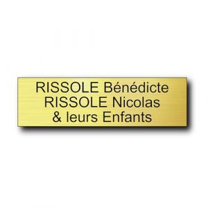 Plaque bo&icirc;te aux lettres personnalisable 12 x 3,5 cm - Gravure laser PVC - Plaque nom adh&eacute;sive - &Eacute;tiquette porte/sonnette - Plaquette signal&eacute;tique personnalis&eacute;e (Or Radial) (France-gravures, neuf)