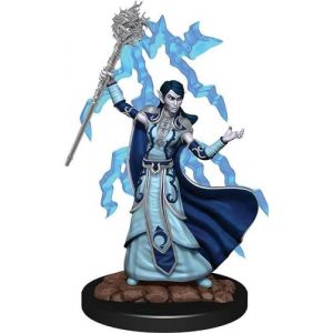 Dungeons & Dragons Figurine de magicien pr&eacute;-peinte (STEVES COLLECTABLES LIMITED **FAST DISPATCH**, neuf)