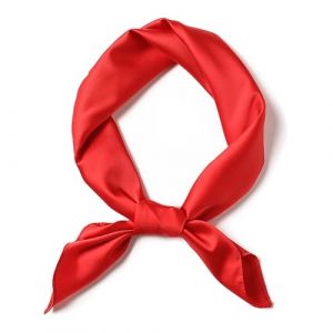 SHUBEIEUMI Foulard Carré Femmes, Foulards en Soie pour Femme, Hijab Foulard à Enfiler, Carré de Soie 70x70cm, Accessoire de Cheveux en Satin Élégant (Rouge) (BoHang Market, neuf)