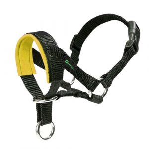 ILEPARK Licol pour Chien avec Tissu Rembourré, Dressage Collier Tête De Chien, Réglable Et Facilement Contrôlable (S, Jaune) (Rock Pet, neuf)