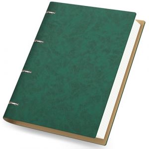 Yarotm Carnet à Anneaux A4 - Carnet de Notes Carreaux 21.5x28cm - 100GSM Carreaux 5x5mm Bloc Note A4-300 Pages Rechargeable Reliure Carnet Cuir PU - Notebook Cahier Spirale de Voyage, Vert (Droking, neuf)