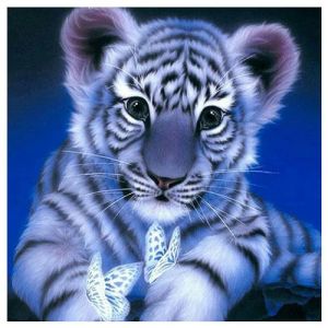 DCIDBEI Square diamond painting kit de peinture diamant carré carre tigre papillon 40x40cm DIY 5D peinture diamant mosaïque point de croix tableau perle diamant canevas et broderie enfants adultes (BEIMIN, neuf)