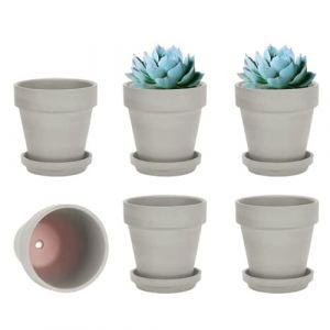 vensovo Lot de 6 Petits Pots de Fleurs en Terre Cuite avec Soucoupe pour Plantes d'intérieur et d'extérieur Gris 10,16 cm (Vensovo, neuf)