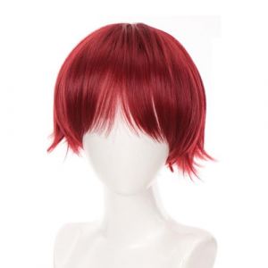 Cheveux courts T&ecirc;te compl&egrave;te Toupee Color&eacute; Anime Unique pour Halloween Cosplay Mascarade Photo Accessoires (sheQImaoYI, neuf)