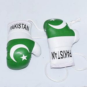 Paire de mini gants de boxe de 8,9 cm à suspendre pour rétroviseur de voiture (Pakistan) (Brit_bargain, neuf)