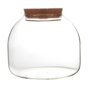 Terrarium en verre pour plantes, terrarium pour plantes de 1600 ml avec couvercle en li&egrave;ge, grand pot de terrarium &agrave; ouverture pour mini plantes succulentes, construction de paysage, pr&eacute;sentations flo (SANGDINZasd, neuf)