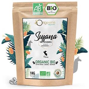 ORIGEENS CAFE GRAIN BIO 1kg | Café en Grain Arabica | Susana - Single Origin Pérou | Torréfaction Artisanale (Origeens, neuf)
