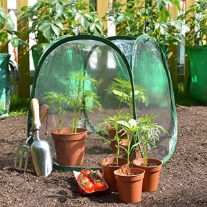 GardenSkill Mini Serre Jardin | Pop Up Petite Tunnel de Forcage Hivernage Couverture pour Semis, Fleurs, Plantes, Balcon, Jardinières, Cultures, Tomates, Fruits, Légumes 50 x 50 cm, Lot de 2 (Gardenskill Ltd, neuf)