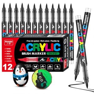 VAKKI 12 Noir Feutre Acrylique, Stylos Acryliques Liquide Direct Acrylic Paint Marker Coloriage pour Adultes, Marqueur Acide Acrylique Pour Coloriage, Pierre, Calligraphie, Bois, Toile, Verre (V-Fran&ccedil;ais, neuf)
