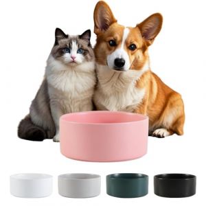 C&eacute;ramique Gamelle Chien Antid&eacute;rapante - Bol Chien Croquette et Eau pour Petit et Moyen - Gamelle pour Chat Grand pour Eau - Bol C&eacute;ramique Anti&eacute;claboussure - 15 cm - 320 g / 720 ML - Rose (PTOBER, neuf)