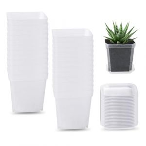 GIDWRIY 24 Pièces Godet Semis Plastique 7 cm,Petit Pot de Fleur Transparent,Pots de Plantes Intérieur Exterieur,Flower Pot de Culture,Godets de Repiquage Carre,Pot de Rempotage Orchidées,Cactus,Herbes (GOLDEN COVE 2025, neuf)