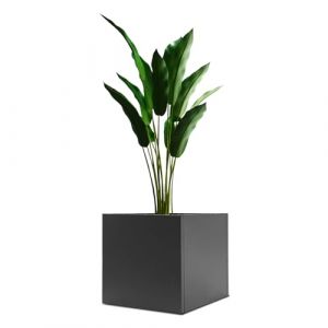 Wiyuer Jardini&egrave;re carr&eacute;e en acier - 60 x 60 x 60 cm - Grand pot de fleurs r&eacute;sistant au gel pour l'ext&eacute;rieur et l'int&eacute;rieur - Pour jardin, terrasse et balcon (YUCHAIWU, neuf)