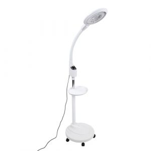 Lampe Loupe sur Pied 16X LED Lampadaire Esthétique Professionnelle pour Esthéticiennes Réglable Lampe d'éclairage de Protection des Yeux pour Travail, Tatouage, Salon de Beauté (Liyishun, neuf)