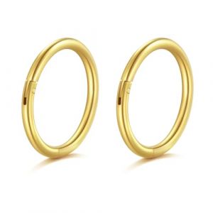 AceFun 20G piercing nez,petit anneau mince nez 8mm acier inoxydable anneau piercing nez or Hoop Hinged Clicker Segment Helix cartilage Daith Tragus oreilles piercing corps pour les femmes hommes (Piercing Jewelry, neuf)