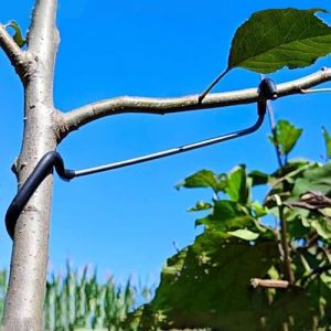 LEILINLIFE Lot de 20 épandeurs de branches d'arbres fruitiers pour arbres fruitiers - Solution durable pour support d'arbre - Extension de branches (17,8 cm) (chu+, neuf)