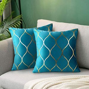 Hanrunsi Housse de Coussin 45x45 Turquoise en Velours Housses de Coussins de Canapé Décoratifs 2 Pack Housses de Coussin en Velours Turquoise pour Canapé Coussins Salon Chambre (Bejolen EU, neuf)