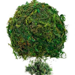 Fausse Mousse,200g Mousse Naturelle S&eacute;ch&eacute;e Mousse Artificielle Mousse Verte pour Artisanat Gazon de Jardin R&eacute;aliste pour Maison Jardin Patio D&eacute;coration Plantes en Pot Centres Table Terrariums D&eacute;cor (HONGJOY, neuf)