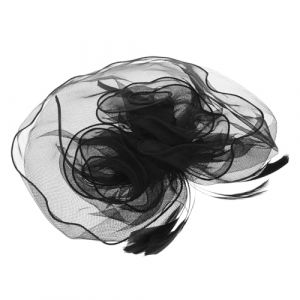 MUSISALY Coiffure De Plume De Mariée Le Voile Voile De Mariée Pince À Cheveux De Mariée Épingles À Cheveux Pour Femmes Voiles De Mariage Voile De Dentelle Accessoire De Cheveux De Mariée (YangF, neuf)
