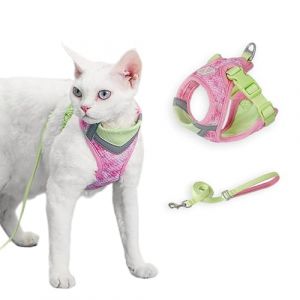 Harnais Chat avec Laisse, Anti-Évasion, Réfléchissant, Respirant Réglable, Gilet-Harnais pour Chaton pour Promenades Extérieures Confortables, Convient aux Chats et Petits Chiens (Rose-Vert, M) (MS Momo, neuf)