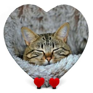 AMAZING Plaque Commémorative en Forme De Coeur avec Photo Et Texte Ardoise pour Chien Chat avec Présentoir en Forme De Coeur - Taille 25x25 cm (PrintAmazing, neuf)