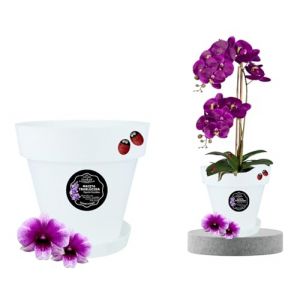 LiveLaif&reg; - 1pcs &Oslash;21 cm Pot Orchid&eacute;e Transparent Translucide | Au Choix : Taille et Unit&eacute;s | Pot Transparent Orchid&eacute;e (1, XL-&Oslash;21 cm) (LiveLaif, neuf)