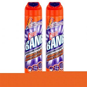 Cillit Bang Mousse active 600 ml – Restes de savon & brillance (lot de 2) (Stock Bureau Maison Bien-être, neuf)