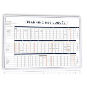 Planning annuel 2025 de gestion des congés -Affichage obligatoire pour entreprise conforme au code du travail-Panneau mural effaçable 42x29.7cm. Encapsulé double face avec adhésif et stylo effaçable (Affinorme, neuf)