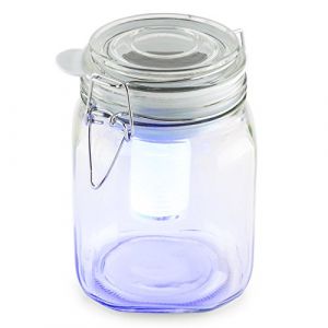 Oneconcept Wetterfrosch Lumière d'ambiance LED Bocal énergie Solaire Jaune Bleu (Electronic-Star-FR, neuf)