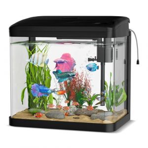 GuKKK Aquarium Complet,Aquariums Poisson Rouge,Aquarium en Verre avec &eacute;clairage LED, Pompe et Filtre, Micro Paysage, Bureau, Aquariums Panoramique, D&eacute;coration de Table pour Bureau (10L) (Bananheim Solutions KFT., neuf)