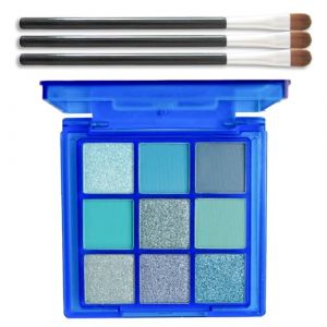 EONFAVE Palette de fards &agrave; paupi&egrave;res, 9 couleurs, bleu, vert, doux, mat, brillant, imperm&eacute;able, hautement pigment&eacute;, m&eacute;tal flash, avec 3 brosses (bleu ciel) (EONFAVE BEAU, neuf)
