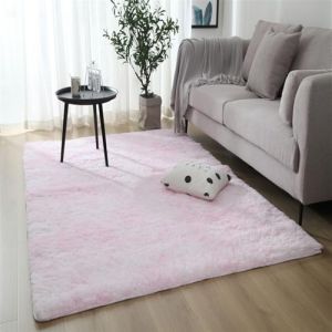 Tapis de Salon Chambre Adulte, Tapis Doux et Moelleux Chambre, Tapis Lavable en Machine, Antid&eacute;rapant Tapis Chambre Adulte, pour Salon, Chambre &agrave; Coucher, Couloir, Descente de Lit(X,50 x 80 cm) (YangShePeng-shop, neuf)