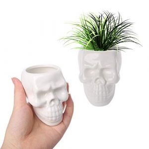 1pc Succluent Pots, Petit Cr&acirc;ne en C&eacute;ramique Pots De Fleurs, Planteur Pots en C&eacute;ramique Fra&icirc;che Skull Fleurs Pots pour La Maison Bureau Bureau (Putes, neuf)