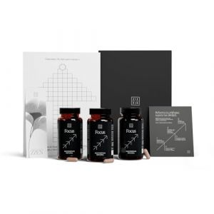 ZZEN FOCUS Nootropique Memoire et Concentration Performance Cognitive &ndash; Cafeine, L Theanine, Bacopa Monnieri, Ginko Biloba, Rhodiola, Vitamine B6 &ndash; 60 G&eacute;lules Vegan (PACK 3) (ZZEN LABS, neuf)