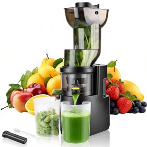 Rawhui Extracteur de jus 500W,Extracteur de jus de Fruits et L&eacute;gumes avec Fonction Inverse,Grande Ouverture de 98mm Slow Juicer,Taux d'extraction pouvant atteindre 98%,2 R&eacute;cipients,Sans BPA (Gazmoonwalk Trade Kft., neuf)