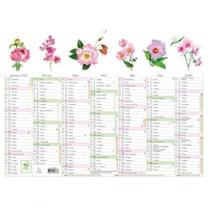 Exacompta - 34305E - Calendrier Mural - Thème Fleurs Avec Illustrations Aquarelles - 7 mois par face - Dimension 29,5 cm x 22 cm - Calendrier 13 mois de Janvier 2026 à Janvier 2027 (Papeterie Libellus, neuf)