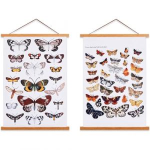 Ywlake A2 Cadre Photo Magn&eacute;tique 42 cm, Cadre Poster Porte Affiches 42x30 42x59 Aimant&eacute; en Bois Naturel pour Affiche Cadre Magnetique Cadre Affiche Cadre Suspendu (42cm, Teck, 2 Paquets) (Novasea TD, neuf)